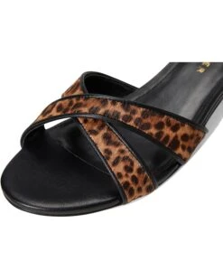 Marc Fisher LTD Traceyly | Heels -Llure Shoe 71ne7GQMr3L. AC SR736920